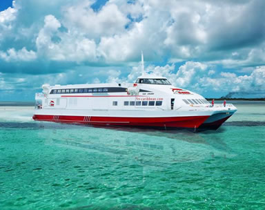 1 day Bimini Bahamas cruise