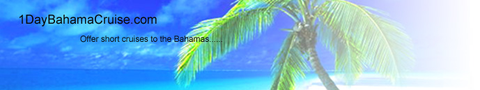 Bahamas cruise header palm tree